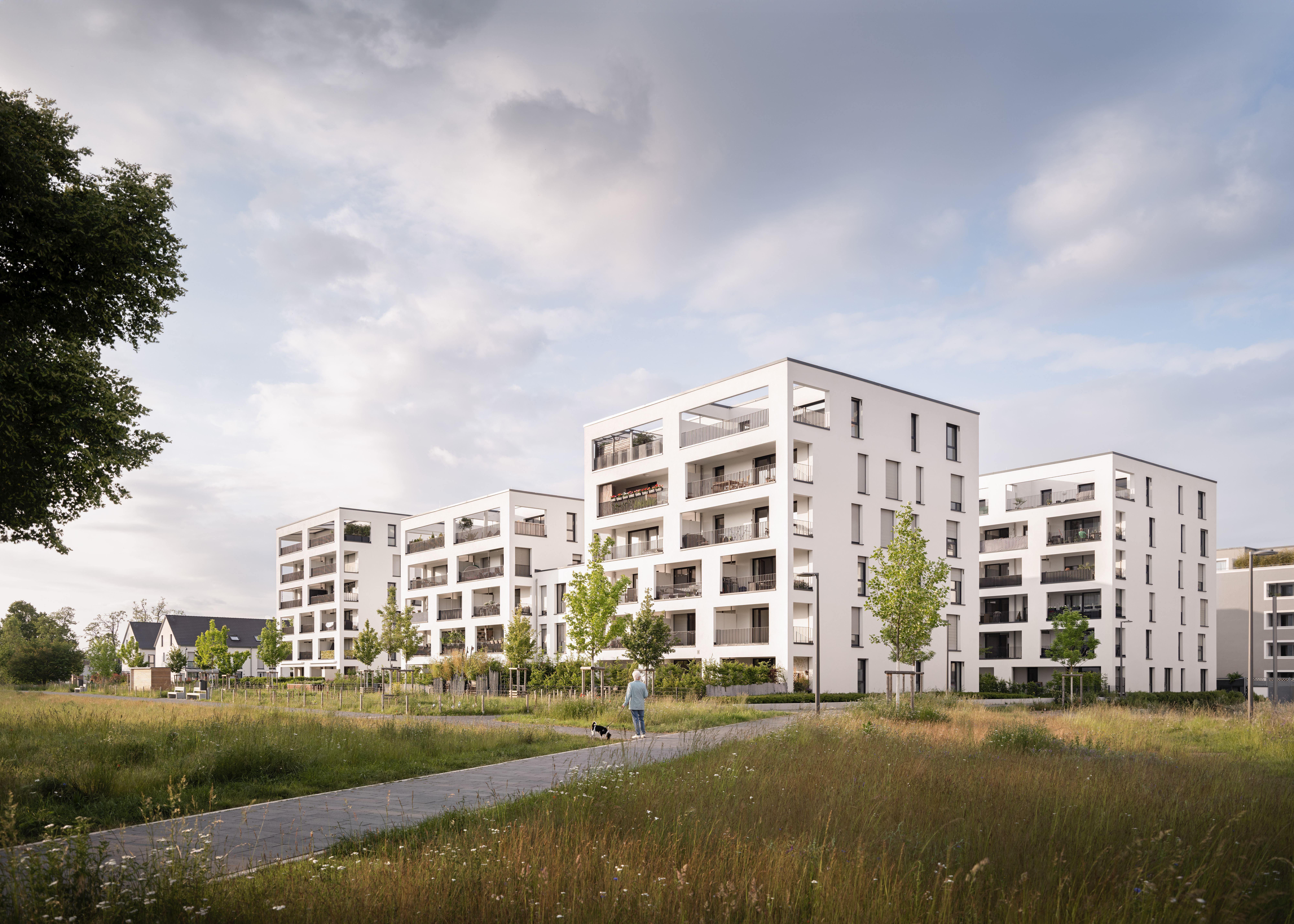 Franklin_Mannheim_Ansicht